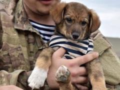OOS: The headquarters record the relative calm at the front