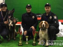 Kharkiv cynologists in  Mezhigorye  won the prize  The best team competition, the Cup of the Commonwealth 