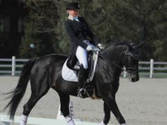 KAMALIYA won the first place at the All-Ukrainian equestrian competitions