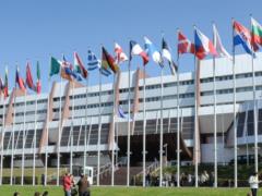 Ukrainians in PACE have been criticized for the play with “Novice”