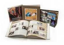 What are photo albums