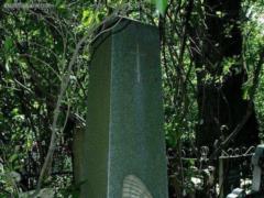Шванвич: История про Сталина, бабочек и танки