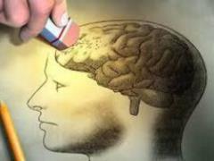 Человеческий мозг способен создавать воспоминания