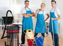 What are the advantages of ordering professional cleaners?