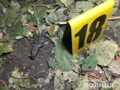 На Харківщині у дворі приватного будинку прогримів вибух