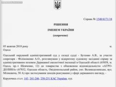 Марк Гордієнко: Рішення суду першої інстанції по Агро Долині