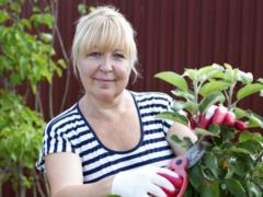  Garden Tax  will not be