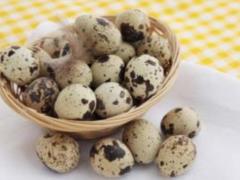 Quail eggs should be used with allergies