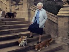 The last corgi of Queen Elizabeth II of Great Britain died in Windsor Castle