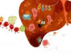 Doctors told how the health of the liver affects the performance