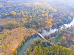 Ivan Rusev: Autumn colors of the Dniester and Turunchuk