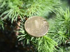 The ruble will collapse by the New Year