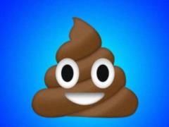 Microplastic found in human excrement