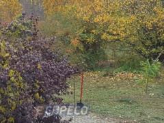 Киевлянка нашла самодельную детскую могилу