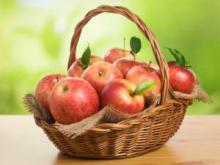 American nutritionist shared the secrets of rapid weight loss