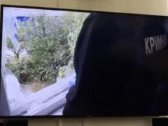 Police installed a customer attack on Sergei Mazur