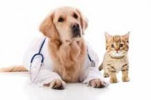 Winter blues: what is its cause and how to deal with it