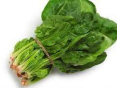 10 foods that normalize blood pressure