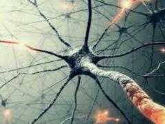 Salt and dangerous autoimmune disease have proven to be related