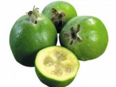 What are the benefits of feijoa