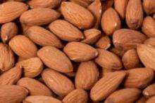 7 non-meat protein sources