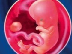 Календарь беременности, 9 неделя 2часть