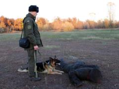 Young canine National Guard told about their pupils