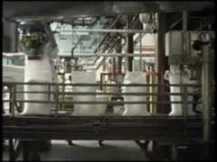 Sugar production