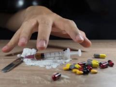 Drug Encyclopedia Authors Died Of Overdose