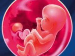Календарь беременности, 12 неделя