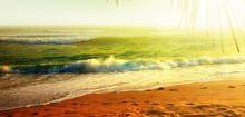 Scientists: intense heat adversely affects the brain