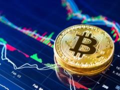 Disclose the identity of the creator of Bitcoin