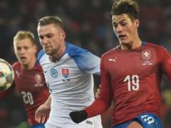 Czech Republic - Slovakia 1: 0 Goal video and match review