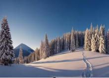 Holidays in the Carpathians: what is the secret of popularity