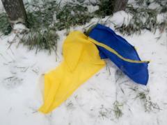 На Днепропетровщине мужчина сорвал флаг Украины и разорвал его