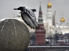 Раде предлагают запретить идеологию  русского мира 