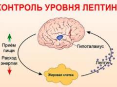 Высокий уровень лептина может вызывать аутизм
