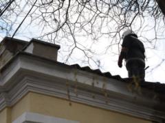 В одесском зоопарке произошел пожар
