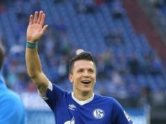 Коноплянка уже зимой может покинуть  Шальке 