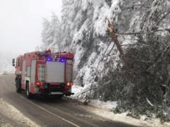Более 40 населенных пунктов на Закарпатье обесточены из-за сильного снегопада