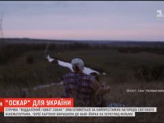 Борьба за  Оскар : бабушка с внуком из прифронтового села на Донбассе отправились в Нью-Йорк, где их фильм поборется за награду