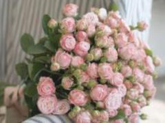 Букеты на заказ от Dicentra – лучшие идеи и их воплощение