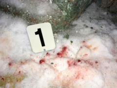 В Рождественскую ночь под Харьковом произошло ограбление
