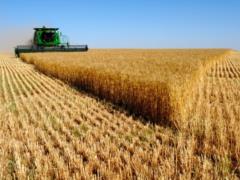 Украина вошла в Топ-5 экспортеров агропродукции в ЕС