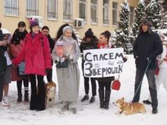 Даша Астафьева в лютый мороз вышла на митинг на улицы Киева