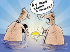 Осторожно: оксалаты! Польза и вред щавелевой кислоты