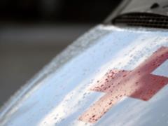 В РФ у курсантов-суворовцев в легких обнаружены личинки червей