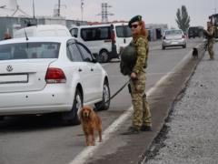 На Донбассе задержали мужчину с поддельными документами
