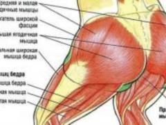 Как девушке быстро подкачать ягодицы в домашних условиях?