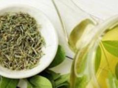 укрепляет память, открыли ученые